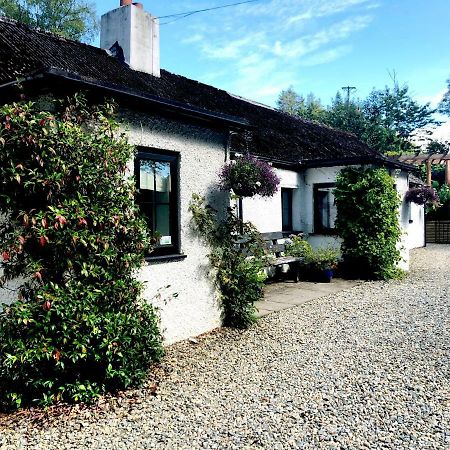 The Wicklow Escape (Adults Only) Donard エクステリア 写真