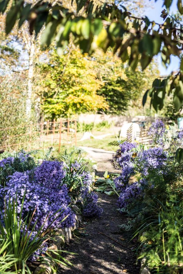 The Wicklow Escape (Adults Only) Donard エクステリア 写真