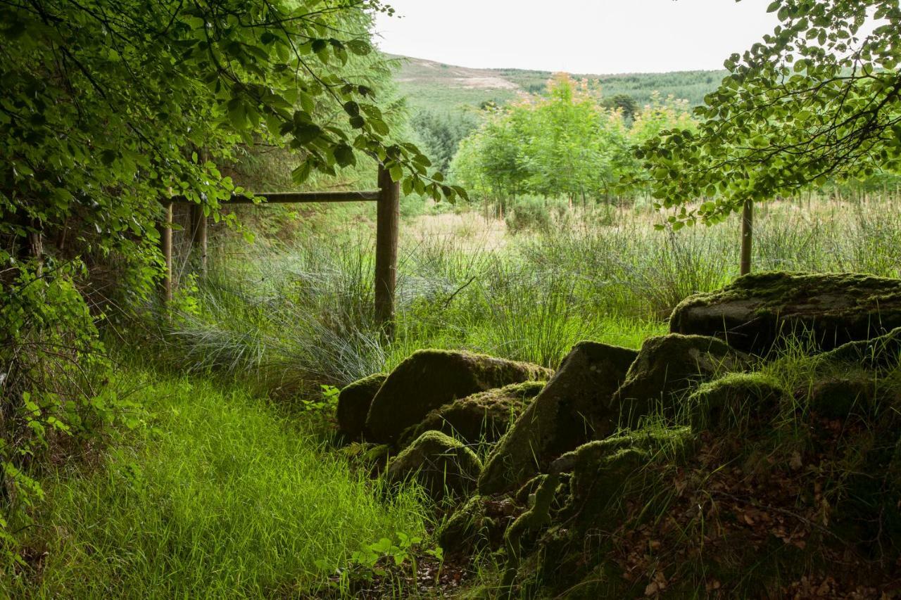 The Wicklow Escape (Adults Only) Donard エクステリア 写真