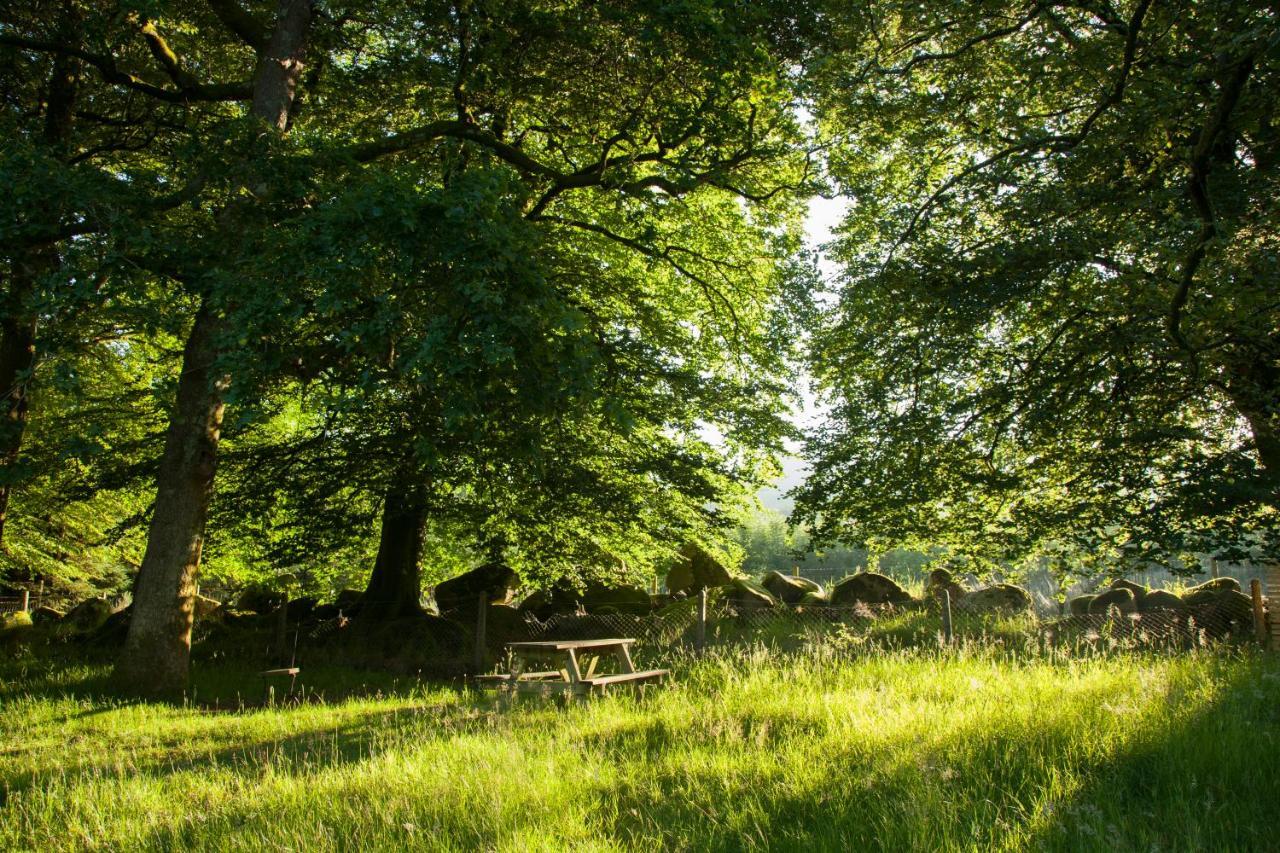 The Wicklow Escape (Adults Only) Donard エクステリア 写真